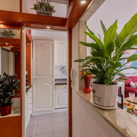 Desert Rose Apartment Split
